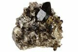 Dark Smoky Quartz Crystal Cluster - Brazil #119553-1